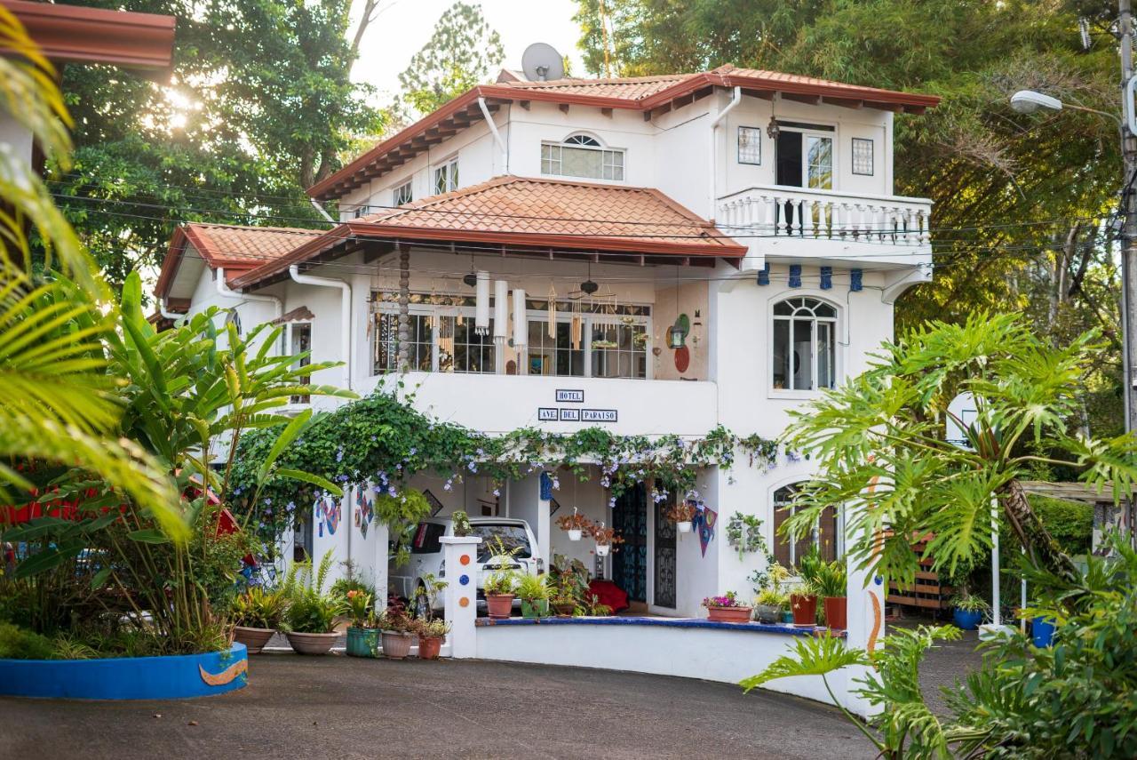 Hotel Ave Del Paraiso San José Esterno foto